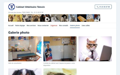 Site témoin sur ordinateur : galerie photos