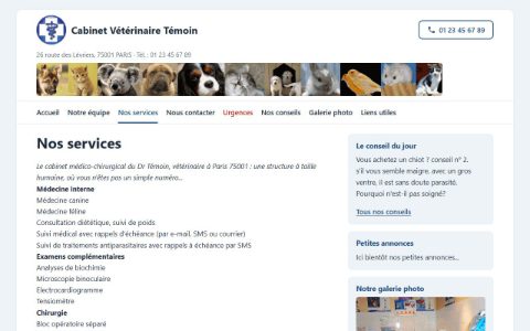 Site témoin sur ordinateur : présentation des services