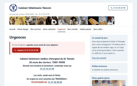 Site témoin sur ordinateur : urgences et symptômes d'alerte