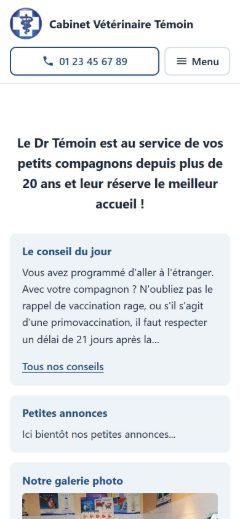 Site témoin sur smartphone : page d'accueil